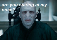 /album/fotogallerij/gbf-png/